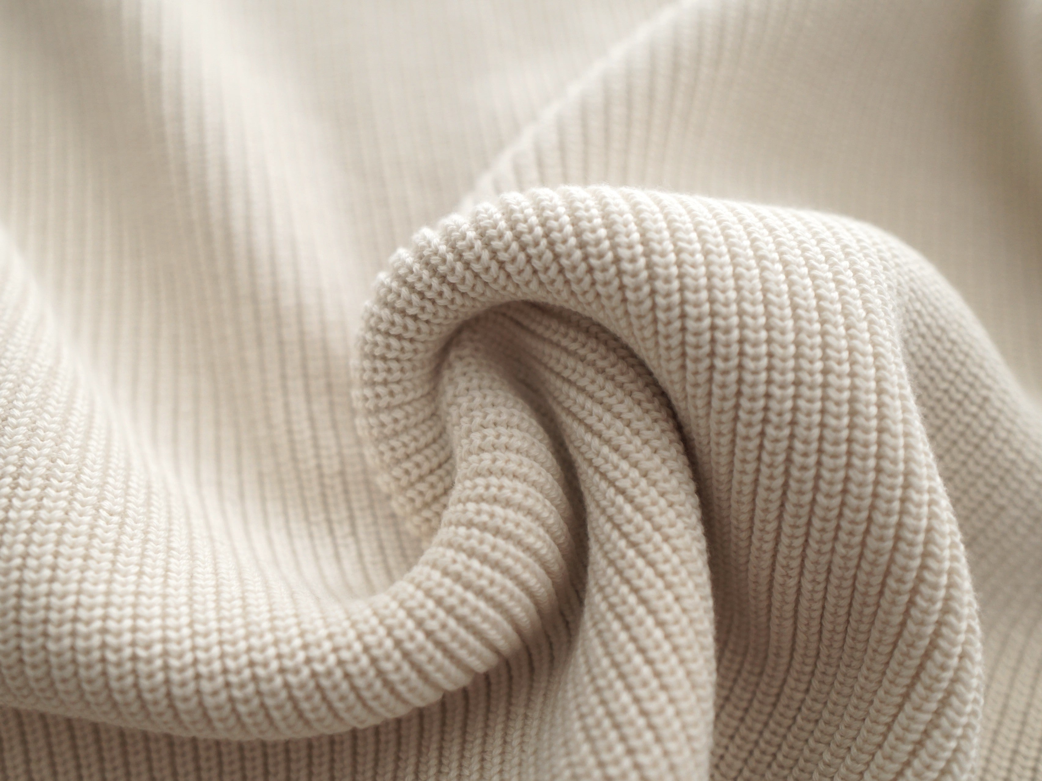 【NEW】COTTON HEAVY WEIGHT CREWNECK