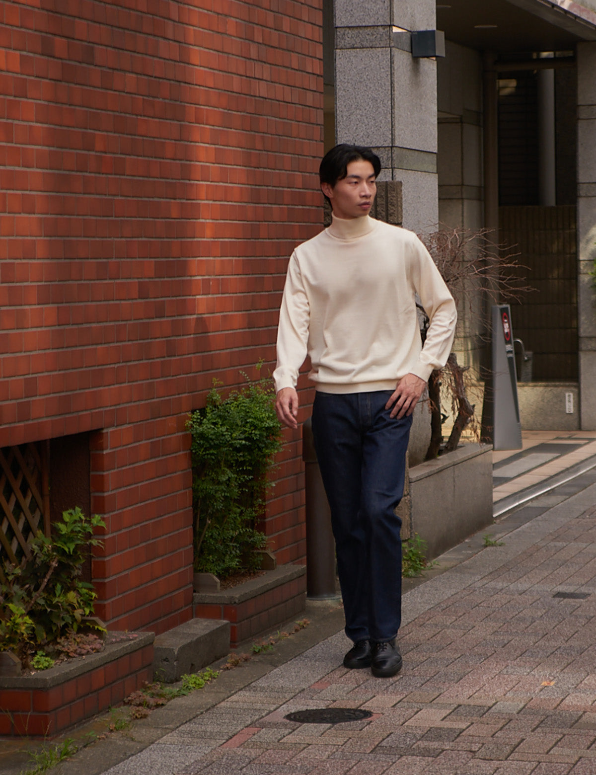 (WO3) 12G Lightweight Merino Wool Turtleneck