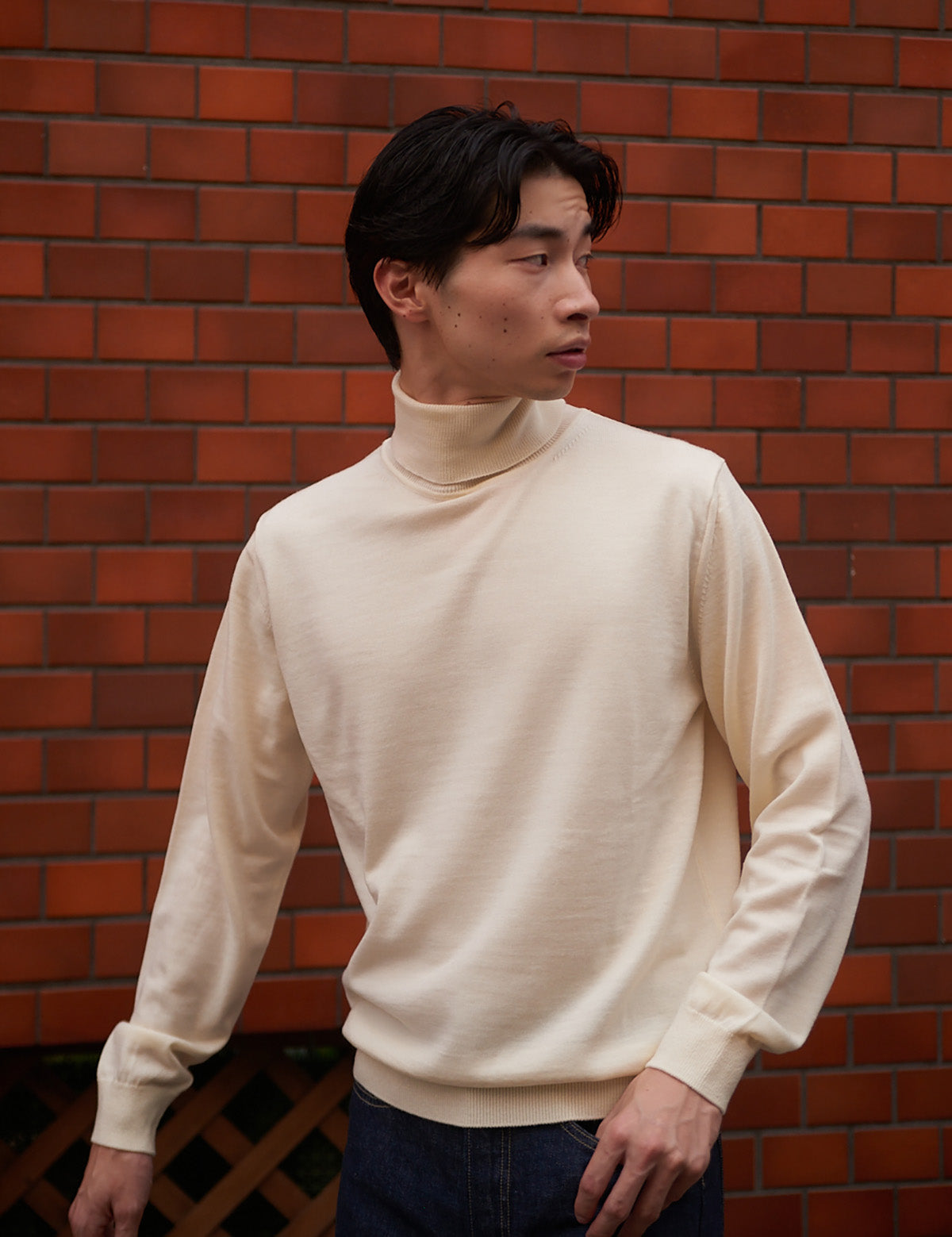 (WO3) 12G Lightweight Merino Wool Turtleneck
